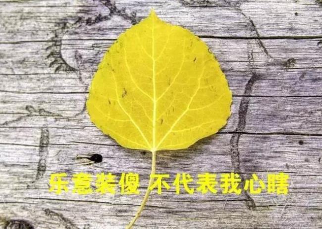 保持快乐的秘诀常记别人的好