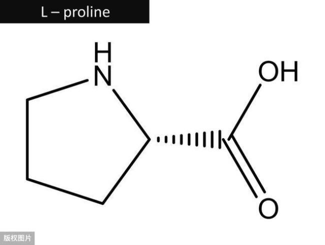 组氨酸化学结构式