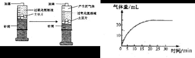 决定酶活性强弱的是什么