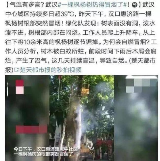 形容武汉天气热的顺口溜