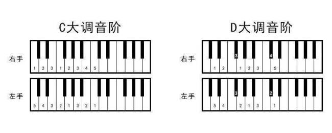 46调和37调哪个好