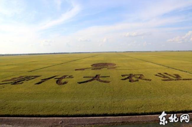 垦区什么意思