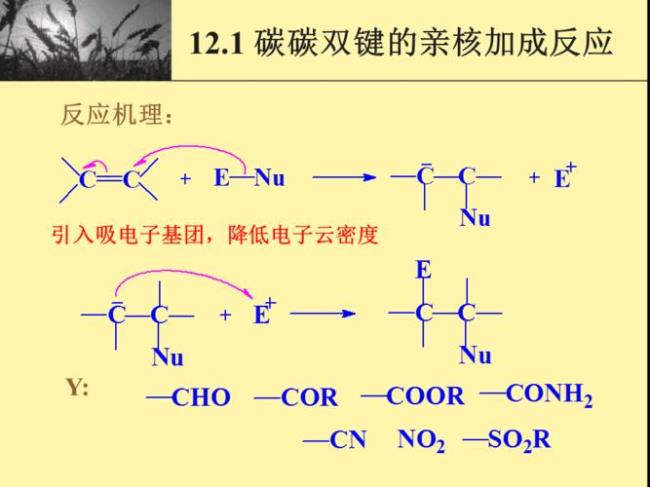 加成反应和缩合反应区别