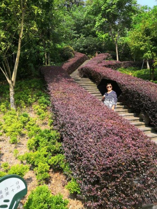 宁波姜山景点