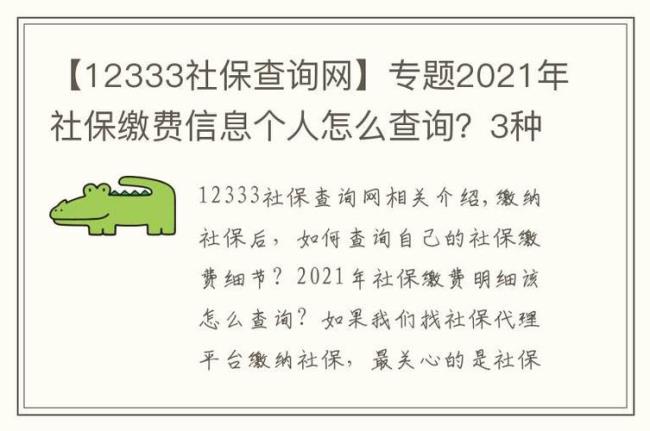 12333社保查询官网咋查养老保险明细