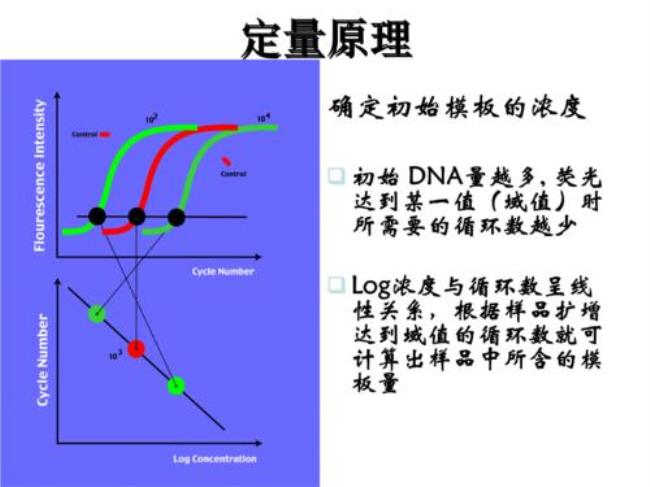 crp检测原理