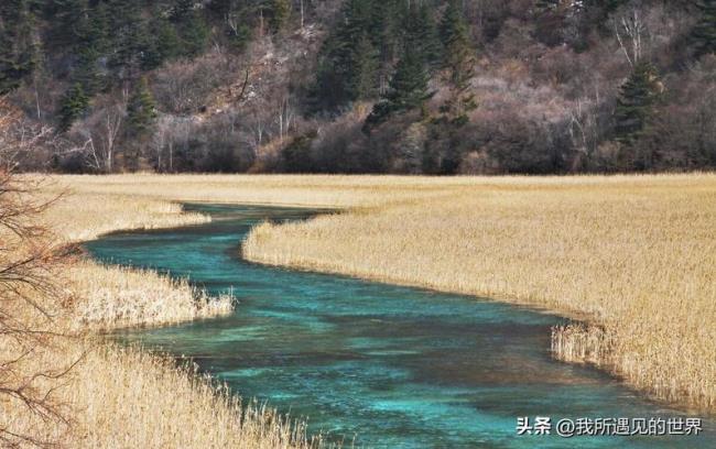 盆景海至犀牛海多少公里