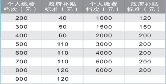 2022年养老保险是否有新算法