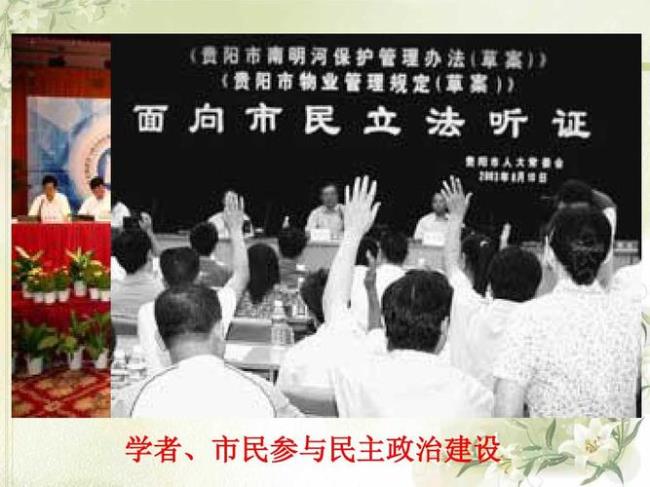 公民政治参与的能力