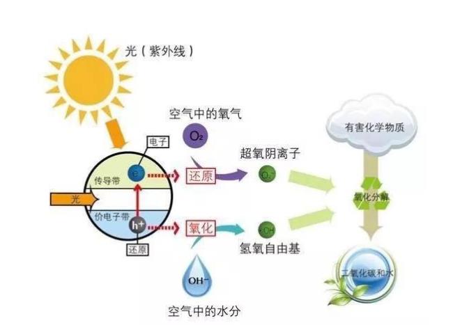 人呼出二氧化碳的物理原理