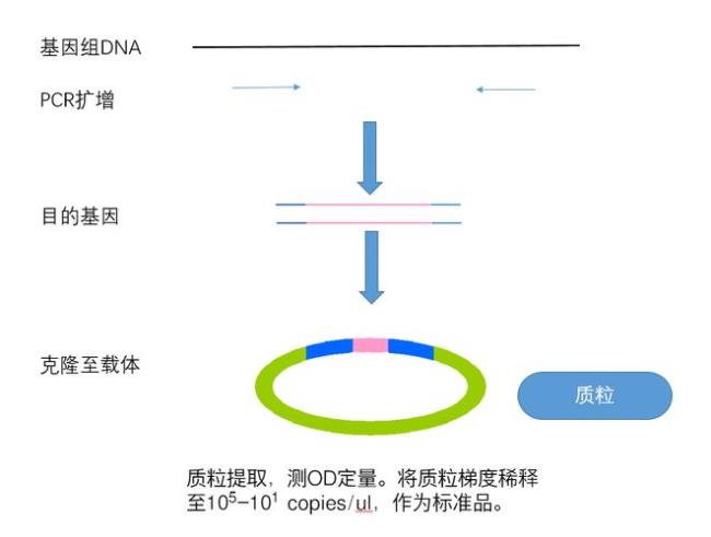 pcr基因组是什么