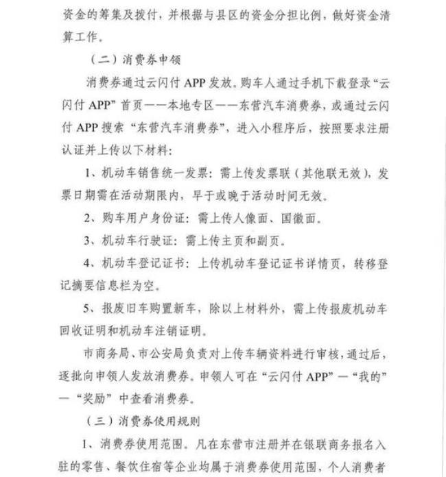 山东汽车消费券审核多久