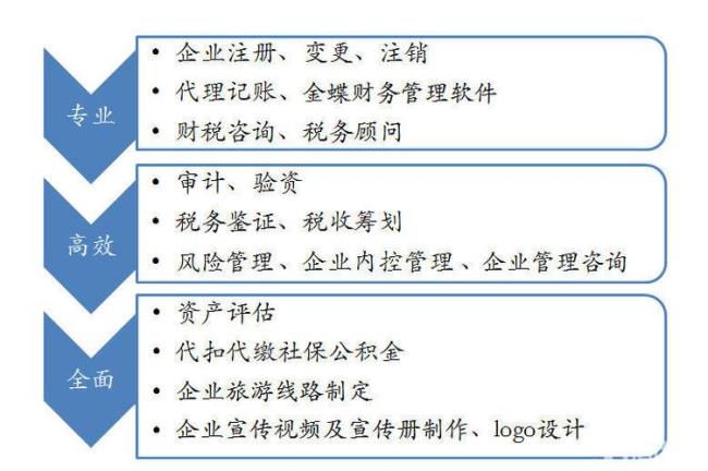 咨询公司和四大审计哪个好