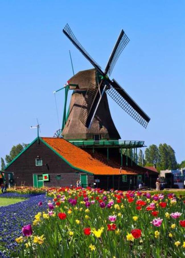 荷兰风车有什么特点