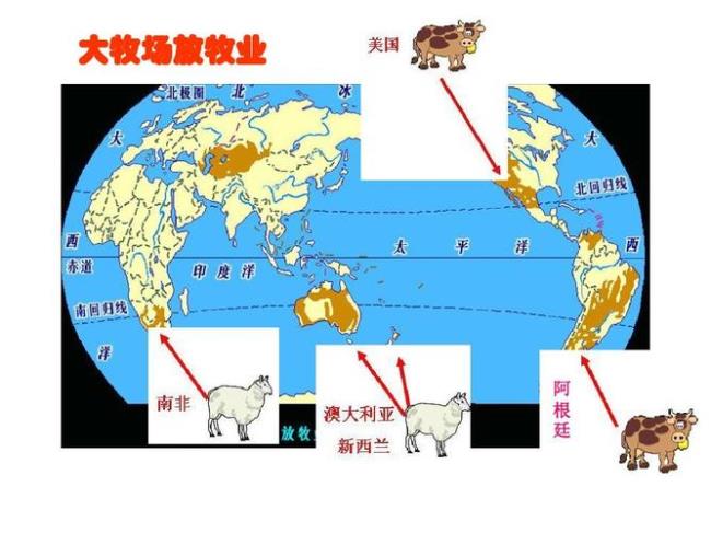 畜牧业企业分类