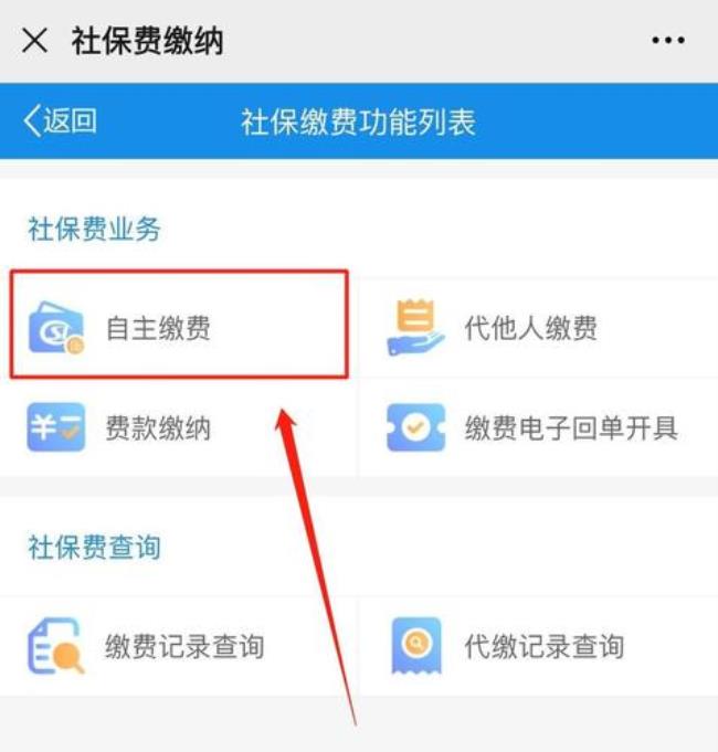 公司交养老保险怎么查