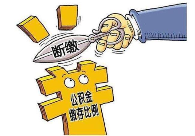 缴纳公积金是什么意思