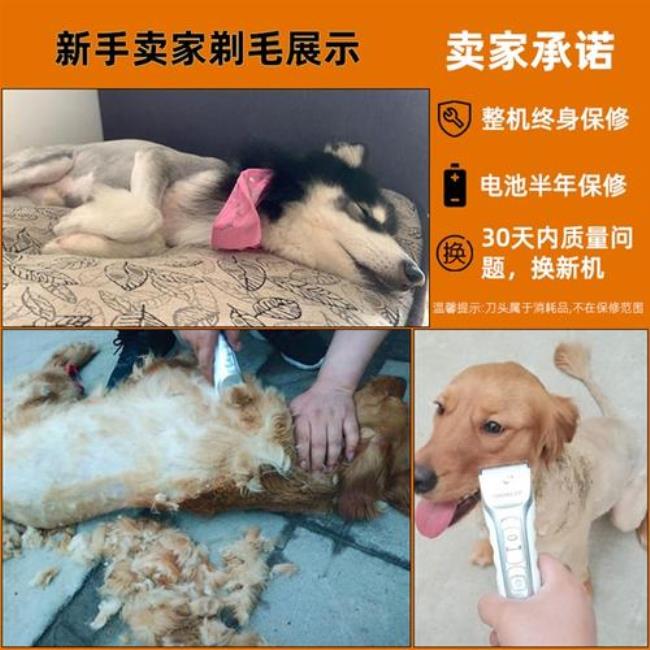 狗狗剃毛器什么牌子好