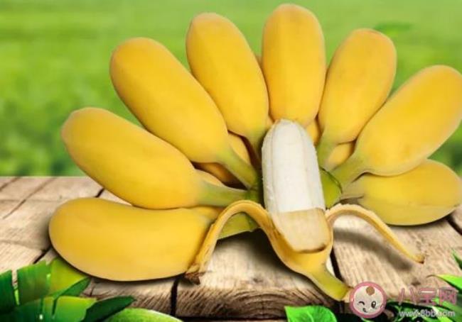 黄香蕉苹果和青香蕉苹果的区别