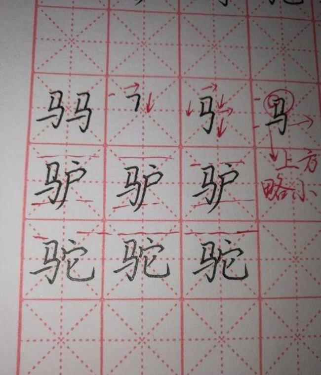 马字旁跟什么有关