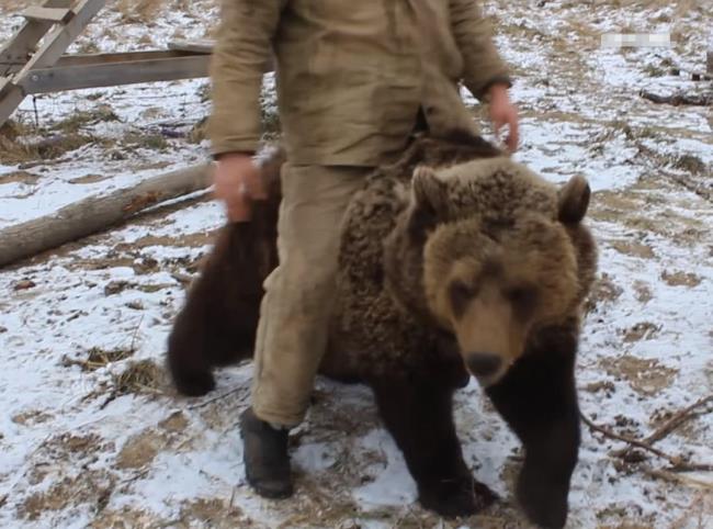俄罗斯大狗熊叫什么名字