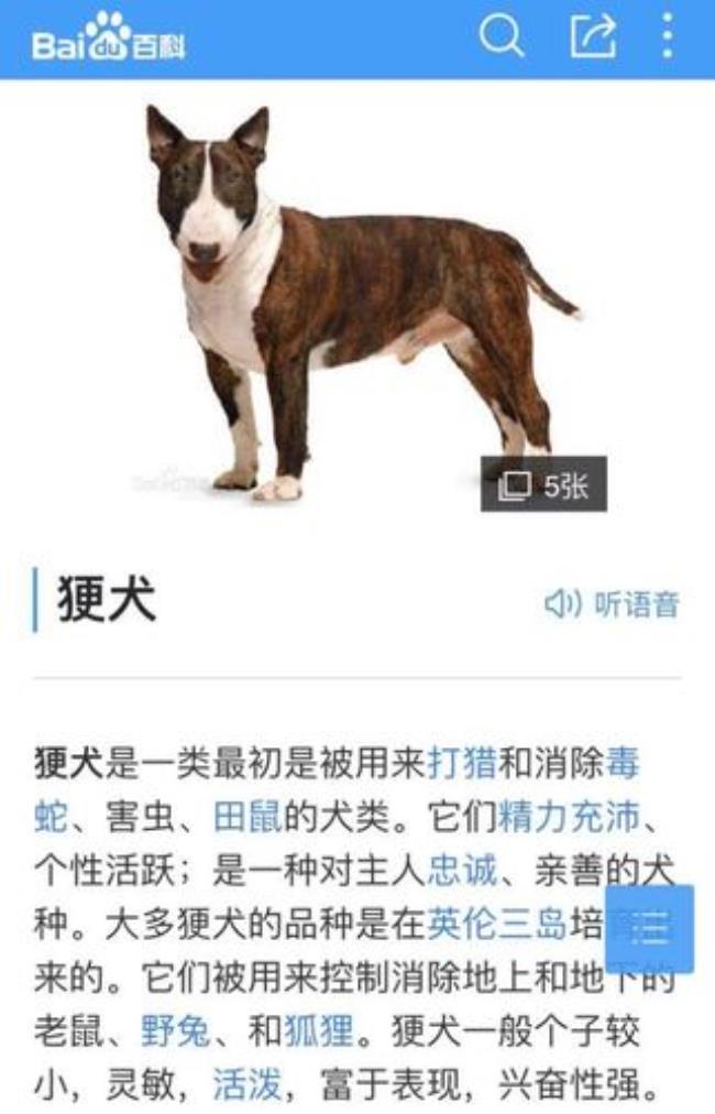 一个反犬旁加个霍字是什么字