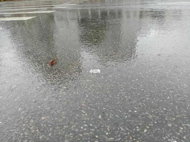 长沙上次下雨什么时候