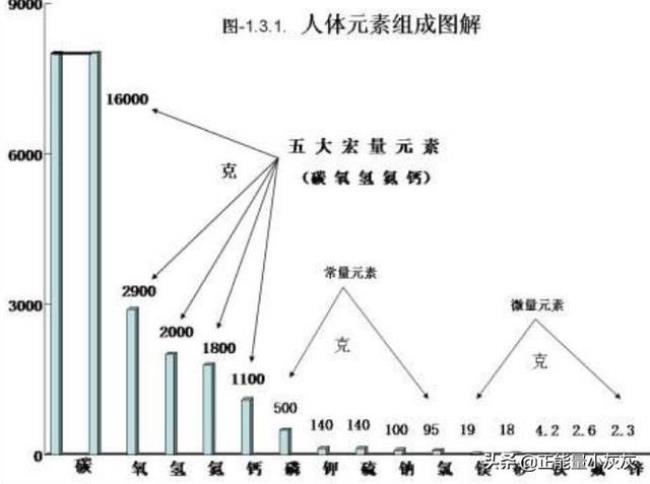 人体中含量最高的金属