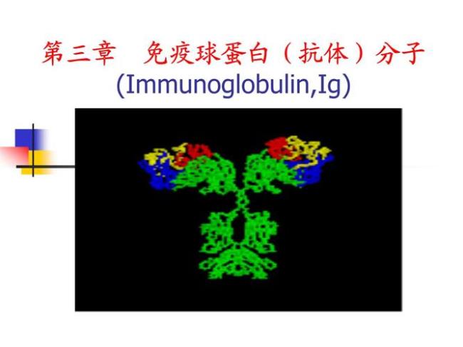 免疫球蛋白化学结构