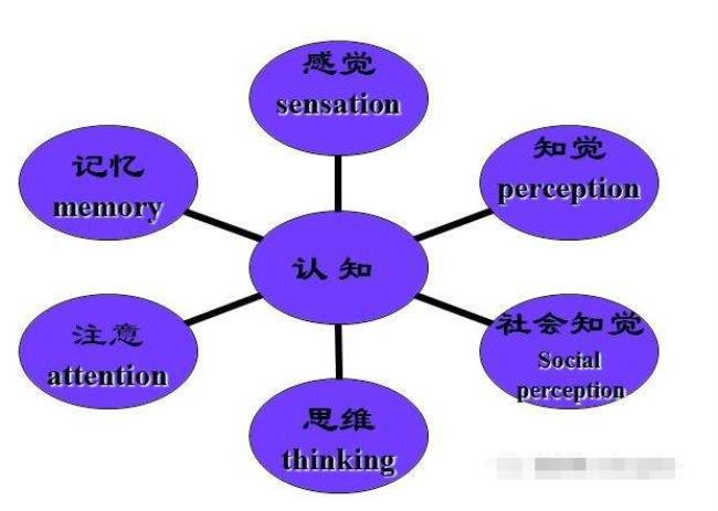 认知行为情感三个层次谁提出的