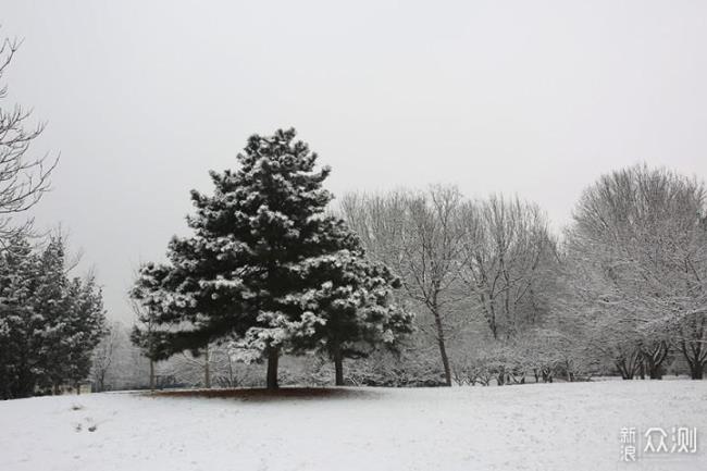 数日方离雪今朝又出山什么意思