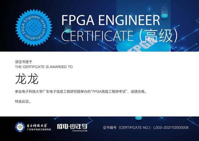 FPGA开发工程师前期是做什么的