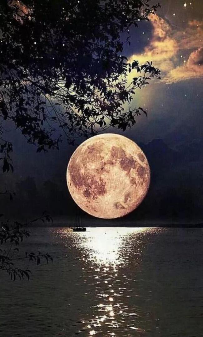 今晚的月亮很美下一句
