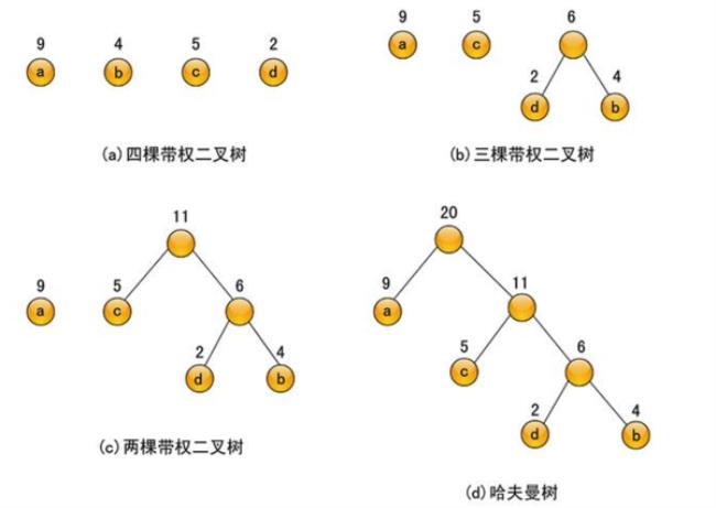 哈夫曼树和二叉树的区别