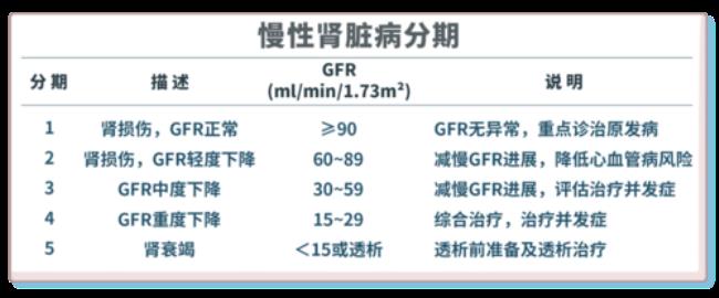 肾小球滤过率正常值