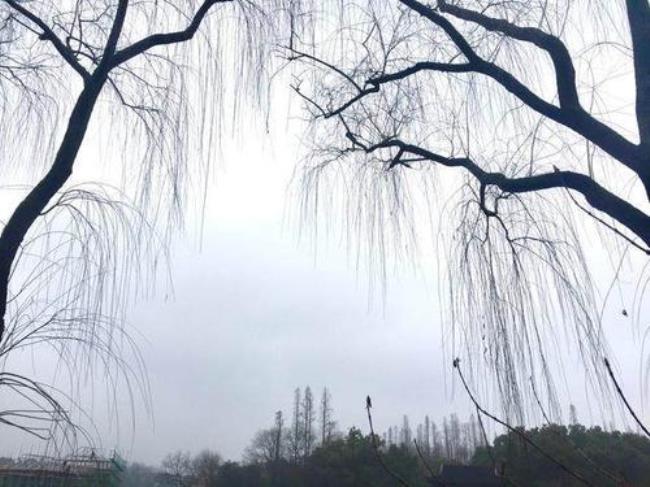 杭州怎么不下雨