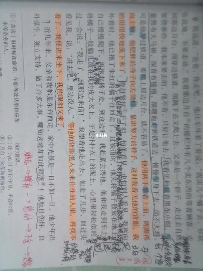 八年级上册语文第十五课的主旨