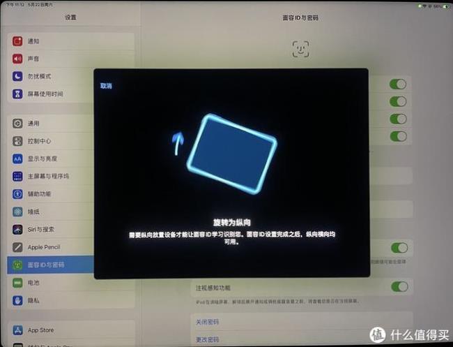 ipad 窗口模式