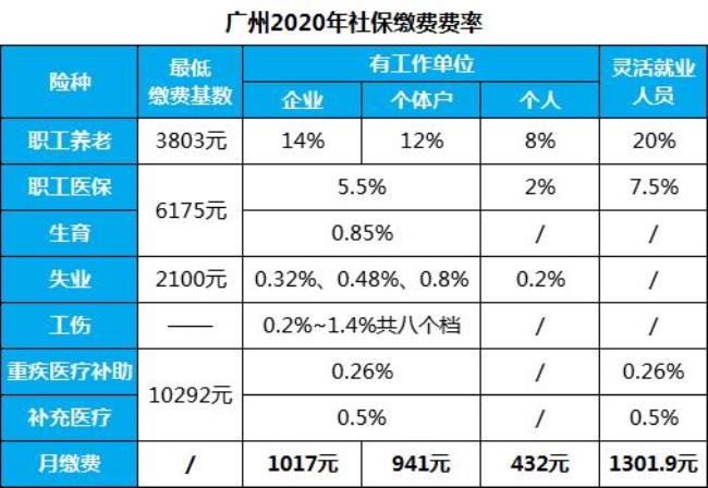 个人怎么交社保