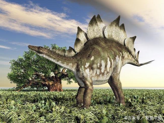 食草恐龙是怎么吃草的