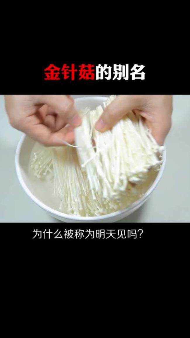 金针菇为什么叫明天见