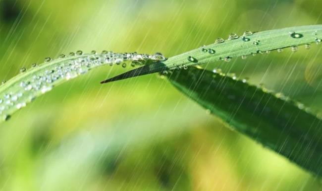 一场春雨的场读几声