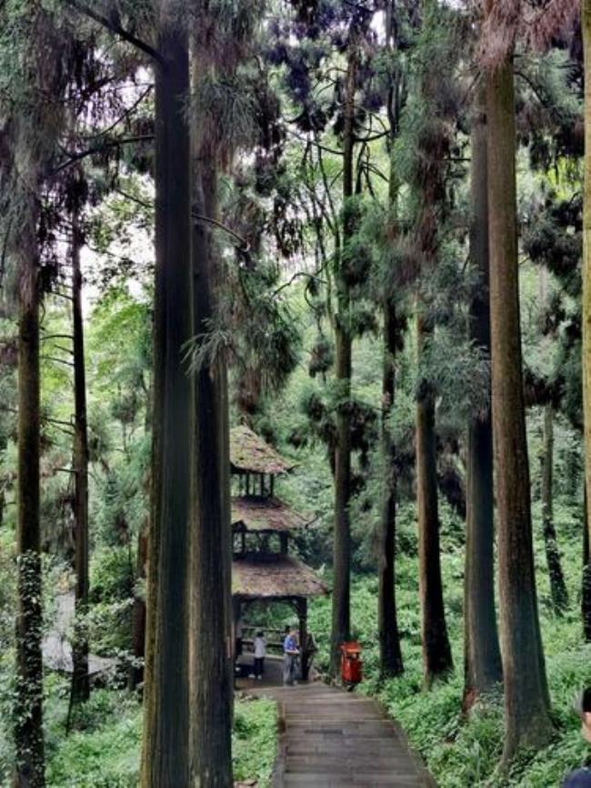 青城山什么时候建成的