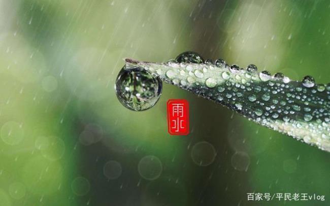 天青等雨什么意思