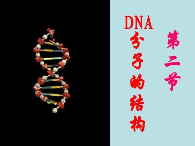 DNA分子的特性