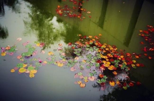 一场秋雨场的读音