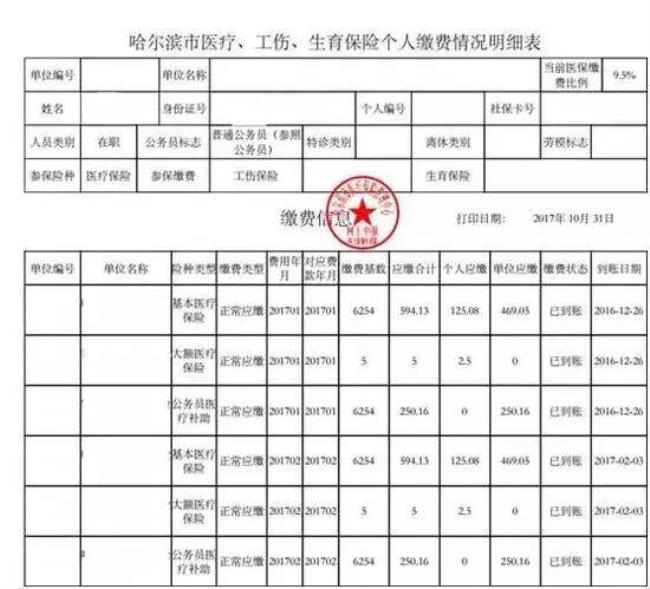 个人参保缴费明细怎么查询