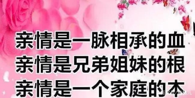 亲情融融还是亲情溶溶