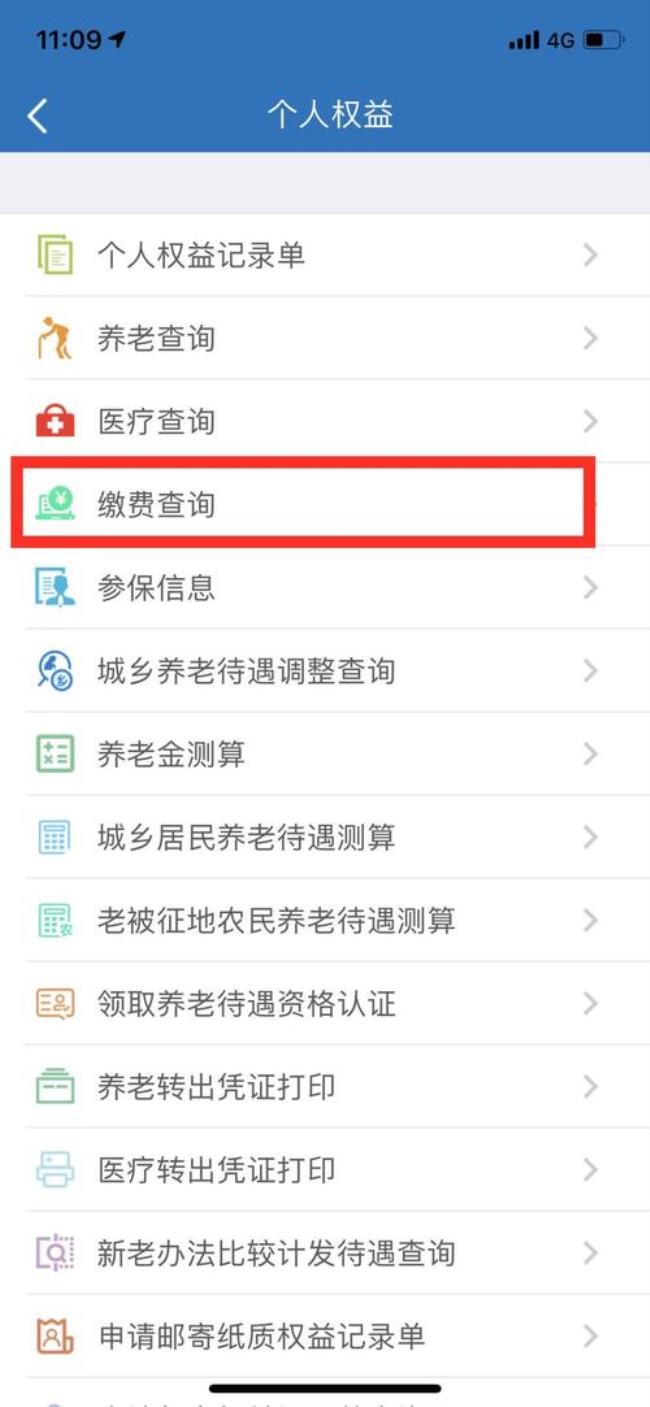 养老金怎样查询