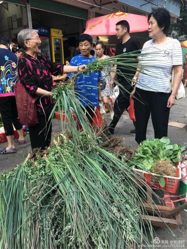 南方端午节门前挂什么